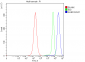 Anti-RAGE/AGER Antibody Picoband™ (monoclonal, 5C6C1)